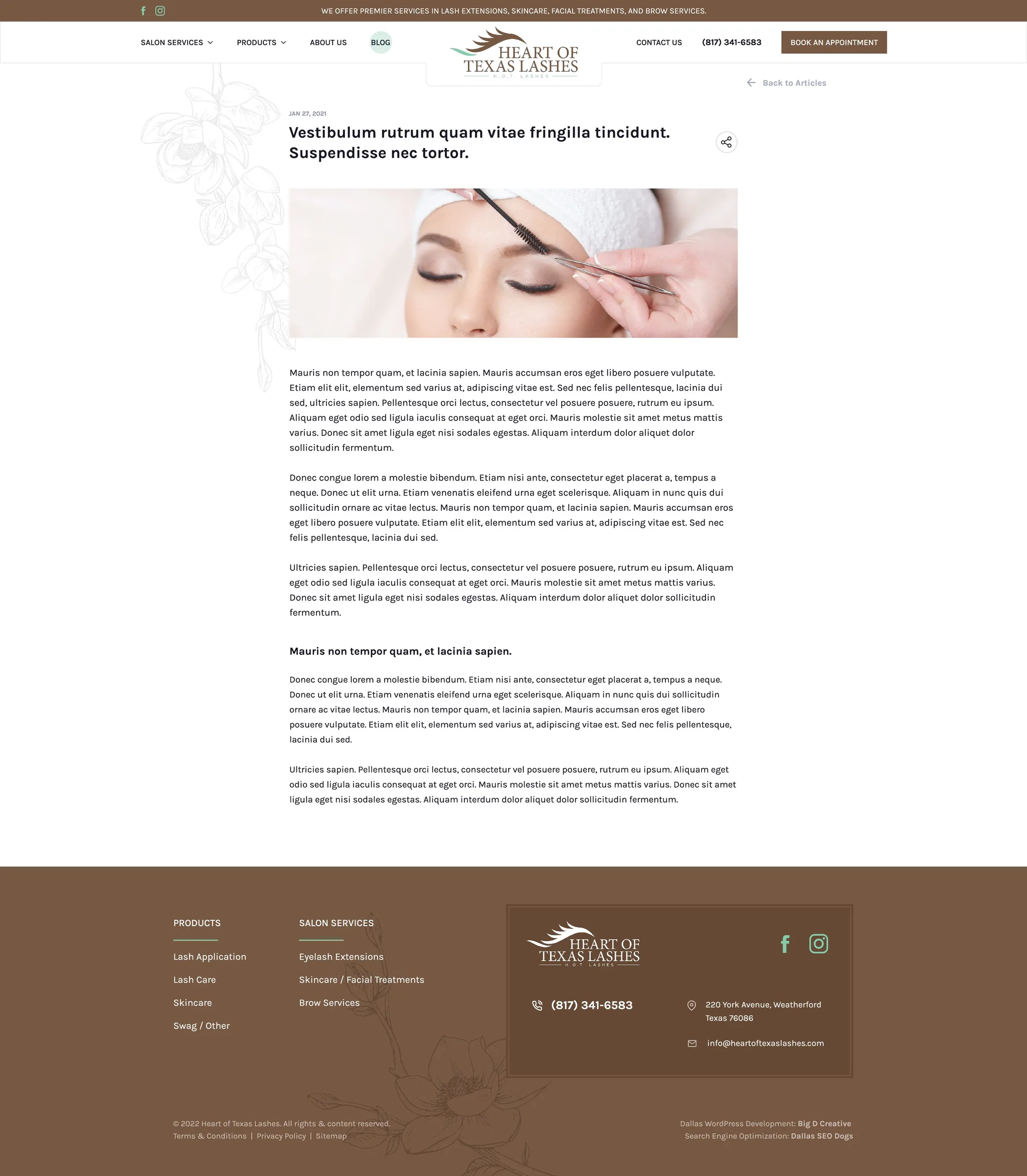Heart of Texas Lashes website, Blog Detail page